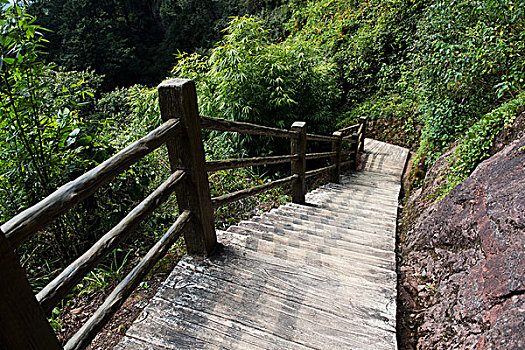 山路,风景,福建,中国