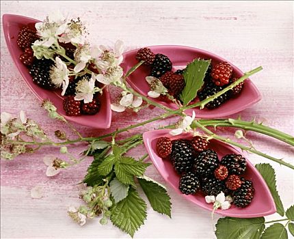 黑莓,三个,碗,嫩枝,花