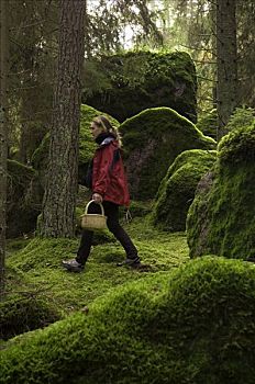 女人,采蘑菇,东约特兰省,瑞典