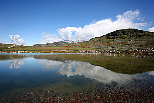 格陵兰,氛围,风景,影象,水,茂密,绿色