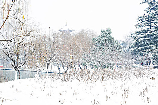 雪景