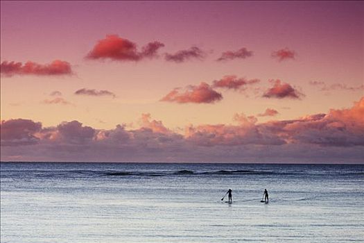 夏威夷,瓦胡岛,北岸,站立,涉水,日落