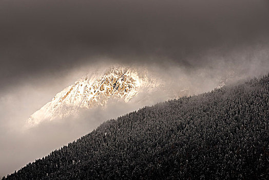灯,雾,雪,山,靠近,米滕瓦尔德