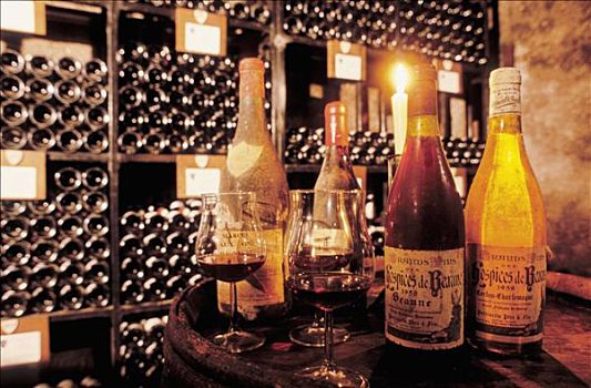 地窖,老,勃艮第,葡萄酒,法国
