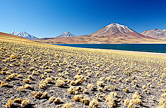 智利,阿塔卡马沙漠,高原,泻湖,火山