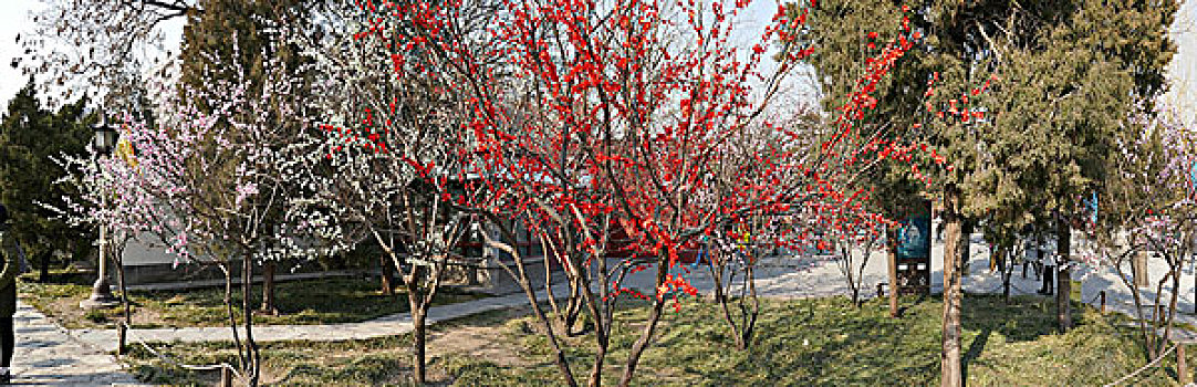 2017年2月2日北京西城区大观园