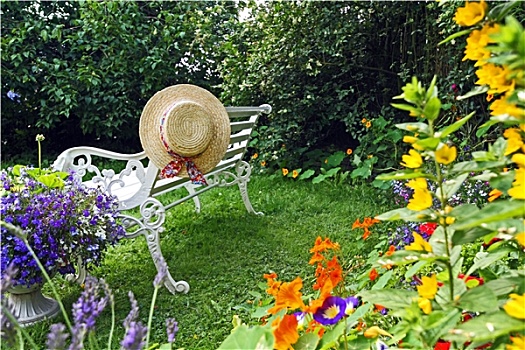 夏天,花园,帽子