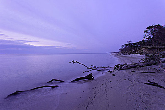 波罗的海,蓝色,钟点,落日,海岸,岸边,海滩,沙子,树,木头,德国