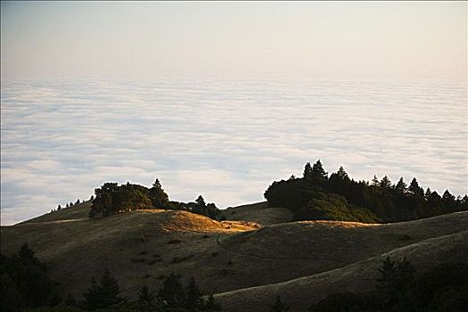 俯拍,云,山,塔马尔帕斯山国家公园,马林县,加利福尼亚,美国