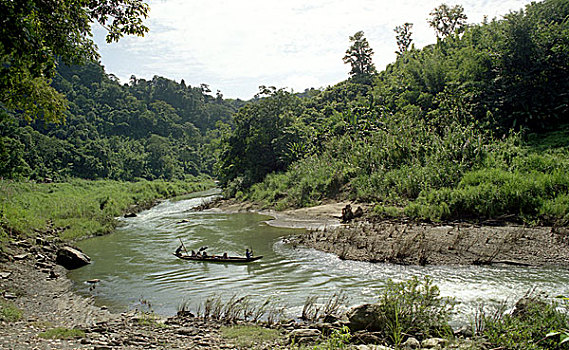 船夫,驾驶,船,河,山,孟加拉,2005年