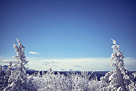 雪,冬季风景
