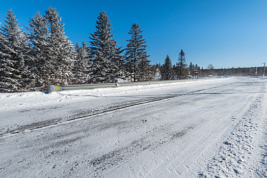 冬季雪后的树林和公路