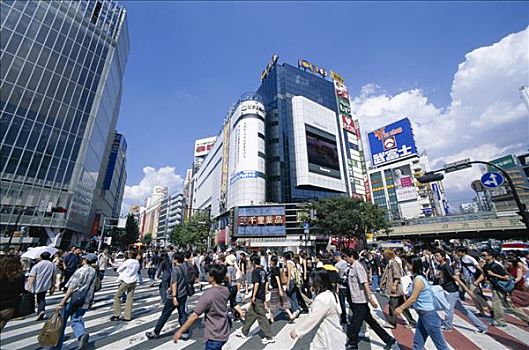 涩谷,人群,消费者,购物者,东京,本州,日本