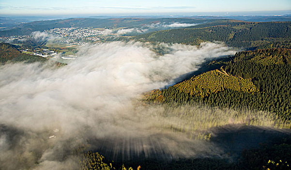 航拍,晨雾,背景,阿恩斯贝格,地区,藻厄兰,北莱茵威斯特伐利亚,德国