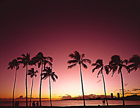 瓦胡岛,怀基基海滩,黄昏,夏威夷,美国