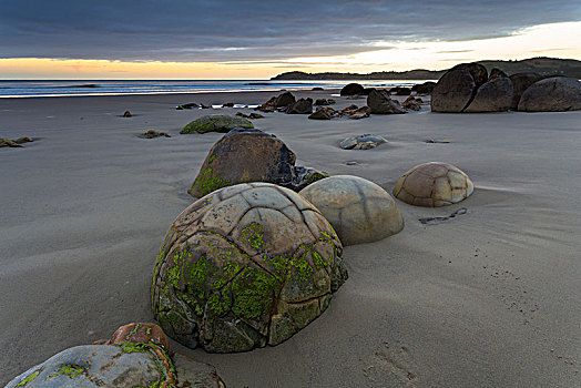 漂石,海滩,黎明,奥塔哥地区,新西兰,大洋洲