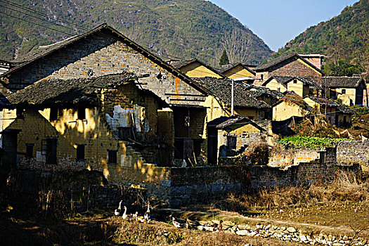 村庄,农村,房子,老屋,土墙,树,山,蓝天,鸡,鸭,草,田地,农舍