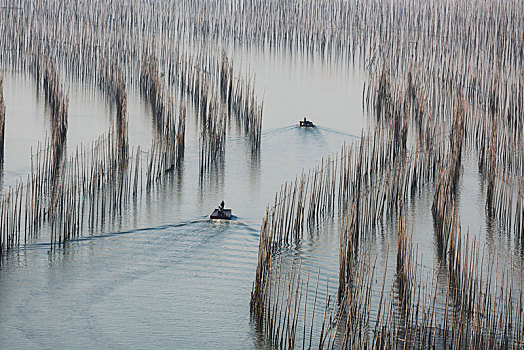 中国,福建,宁德,霞浦