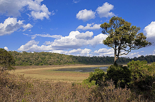 火山口,国家公园,自然保护区,地区,肯尼亚