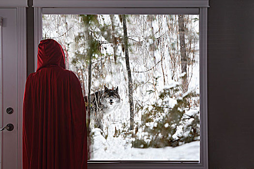 小红色帽衫,向窗外看,大,坏,狼,艾伯塔省,加拿大