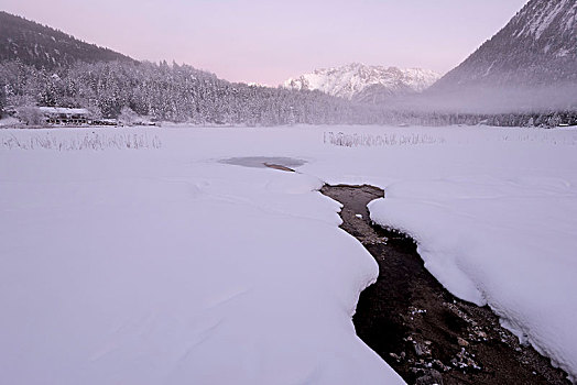 冰冻,湖,靠近,米滕瓦尔德,积雪,风景,雾,夜光