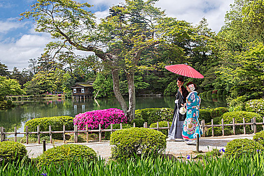 日本,金泽,城市,花园