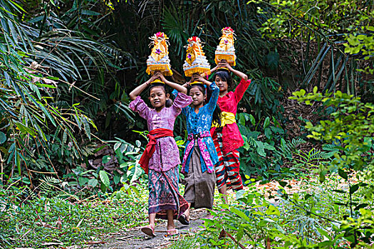 三个女孩,走,寺庙,供品,典礼,头部,巴厘岛,印度尼西亚,亚洲