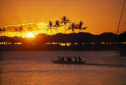 夏威夷,瓦胡岛,舷外支架,独木舟,桨手,日落,棕榈树,剪影