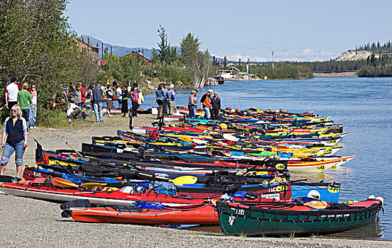 独木舟,皮划艇,岸边,开端,2009年,育空,河,追求,长,远景,比赛,怀特霍斯,育空河,育空地区,加拿大