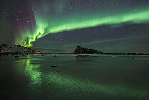 北极光,上方,冰冻,湖,罗弗敦群岛,挪威,欧洲