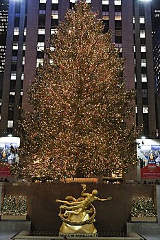 圣诞树,光亮,洛克菲勒中心,纽约,美国
