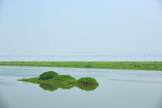 水面,水,俯视