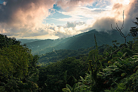 风景,上方,雨林,国家公园,漂亮,晨光,波多黎各,加勒比岛屿