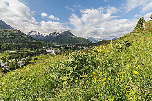 高山,乡村,夏天,山谷,恩加丁,瑞士
