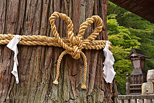 斑点,北方,出口,富士山,神祠,日本