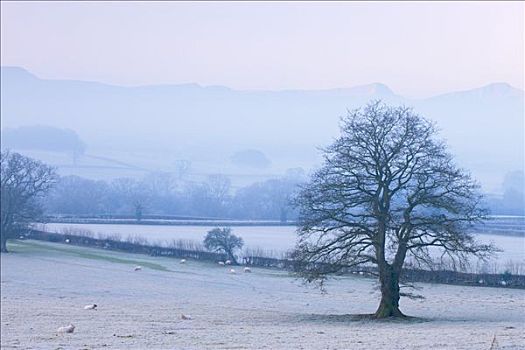 冬季风景,布雷肯灯塔国家公园,波厄斯郡,威尔士