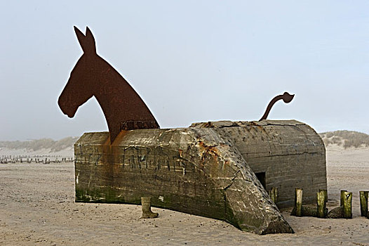 马,海滩,丹麦