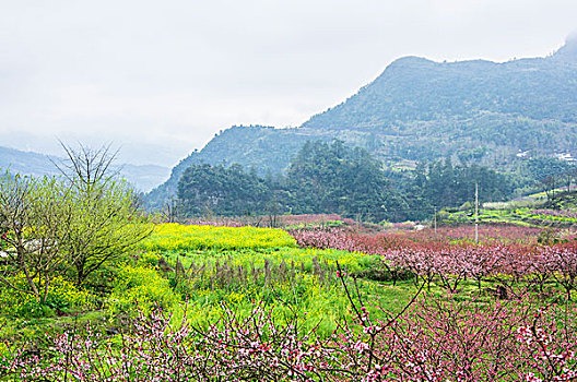 田园春色