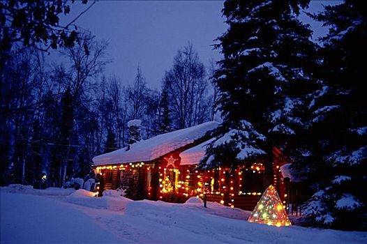 木屋,圣诞灯光,冬季,肖像,夜晚