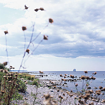 三桅帆船,远景