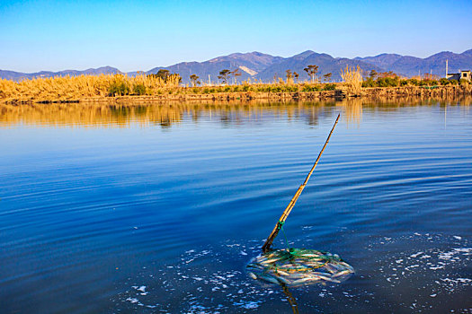 大嵩江,水库,水闸,白鹭