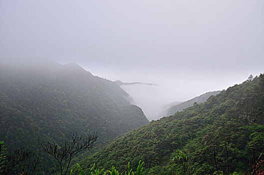 大明山