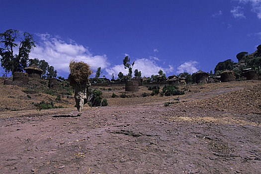 埃塞俄比亚,拉里贝拉,乡村,男人,稻草