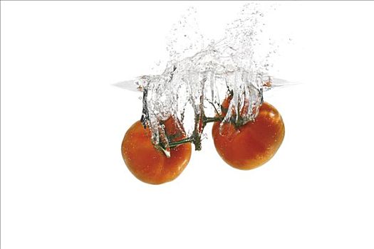 西红柿,落下,水