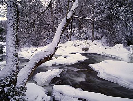 河,冬天,秋天,公园,安大略省,加拿大