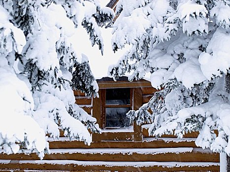 雪,木屋