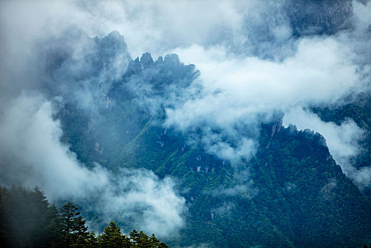 神农架,神农顶,风景,景点,旅游,高山,瀑布,河流,神秘,树木,植被,石头,鄂西,云海,峡谷,壮观