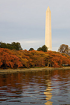 华盛顿,美国,华盛顿纪念碑,高处,樱桃树,潮汐,盆地