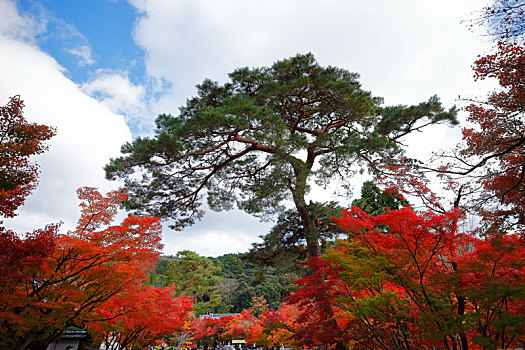 日本京都南禅寺