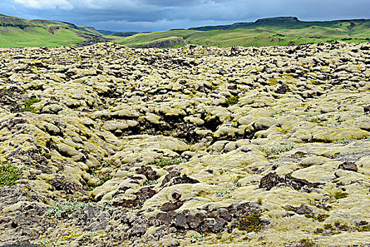 火山岩,苔藓,熔岩原,冰岛,欧洲